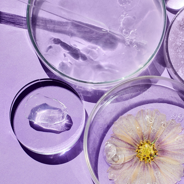 Genialys – Régénération