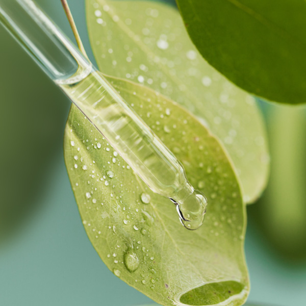 Ecologica – Soins Corps